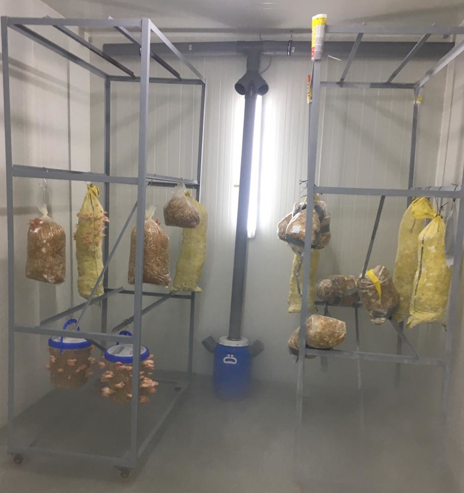 Cellule Hydroponique